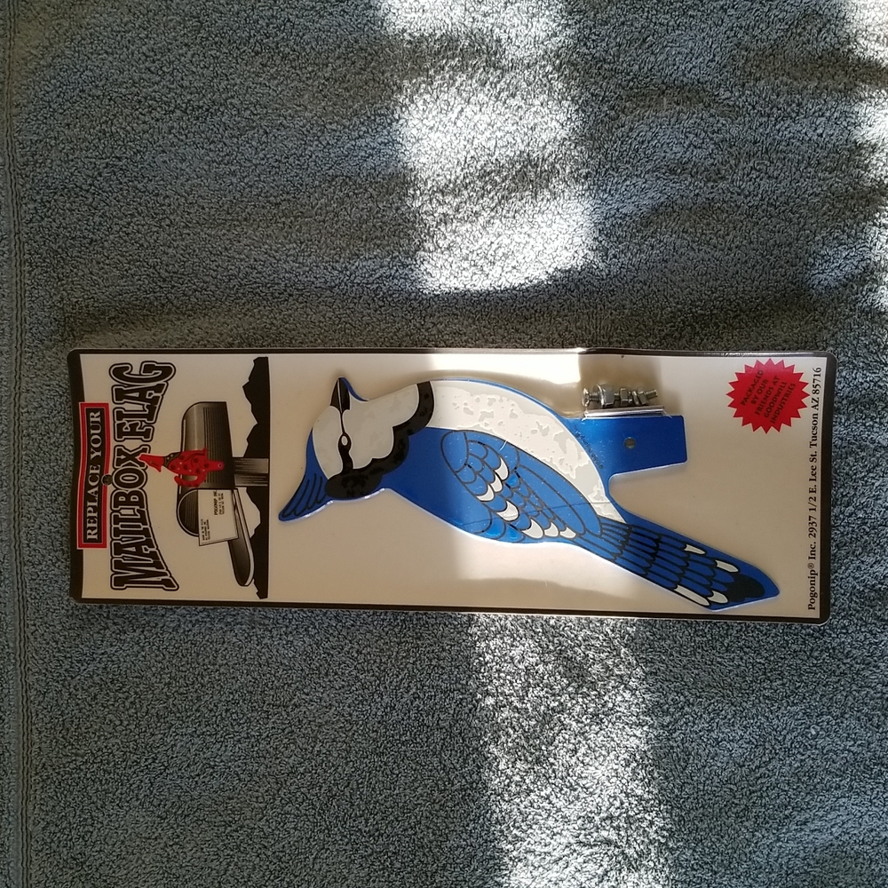 Pogonip Blue Jay